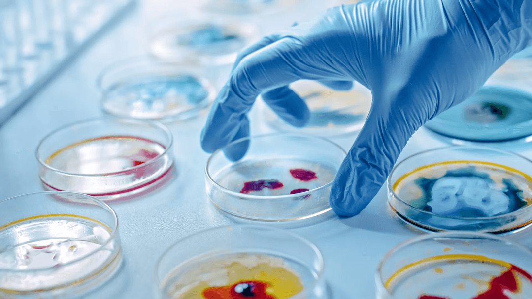 Microbiology